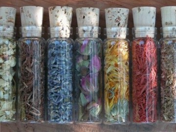 A66139b496dc5bc52fbbdcd414ec55df