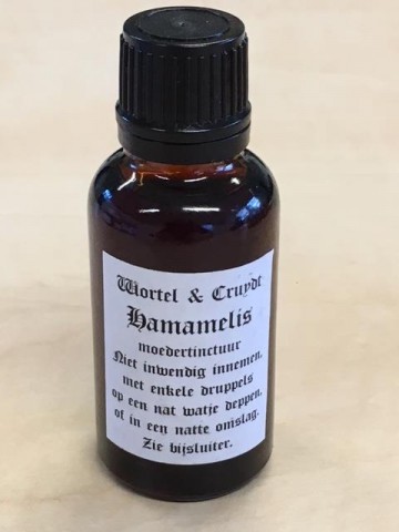 Hamamelis