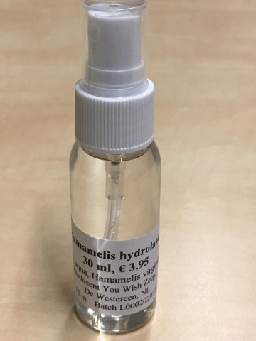 Hamamelis